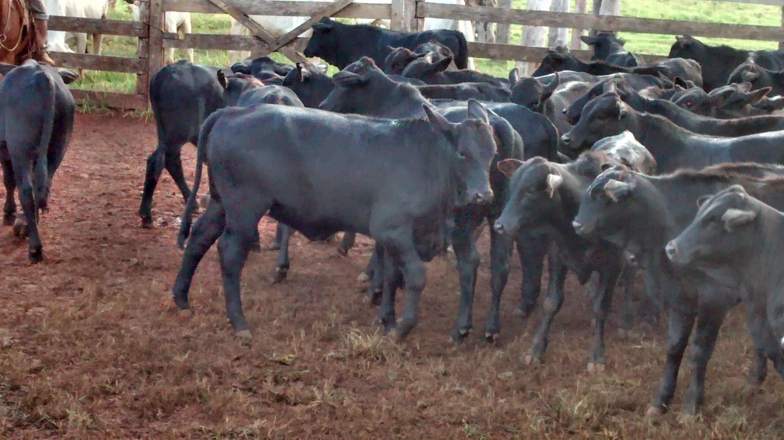 IMG_20140516_161723143_HDR