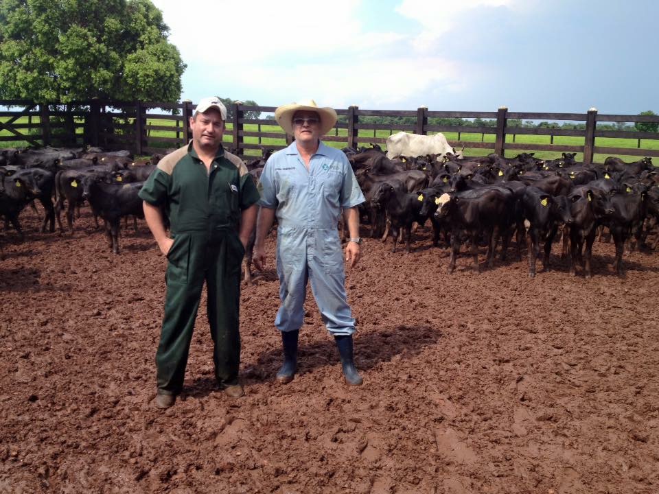 WhatsApp_Image_2018-10-16_at_13.09.21