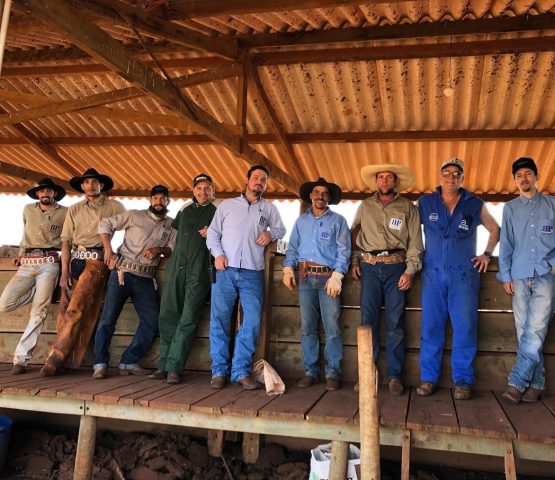 Andrológico dessa semana , com essa equipe 👌🏻👊🏻Fazenda Santa Virginia 🐄🐄#agropecuária #me