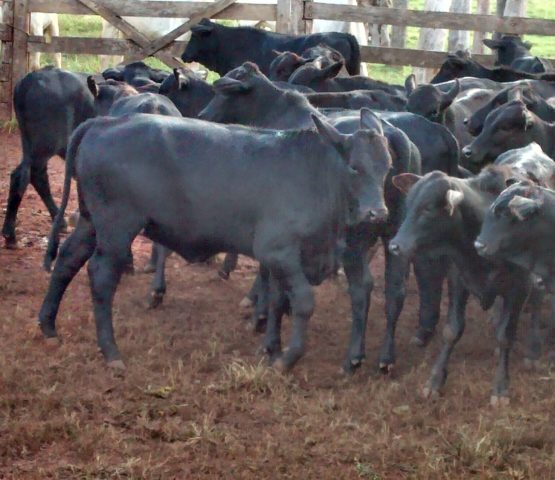 IMG_20140516_161723143_HDR