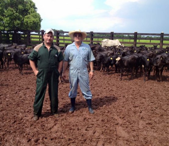 WhatsApp_Image_2018-10-16_at_13.09.21