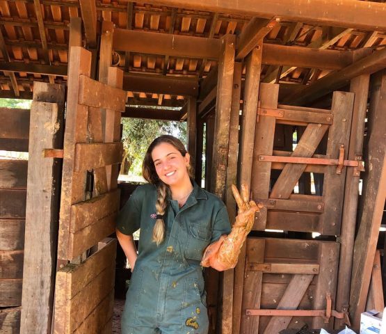 🐄✌🏻#agropecuária #medvet #iatf💉📊🐄🐮 #nelore #angus #melhoramentogeneticoanimal #reproducaoa